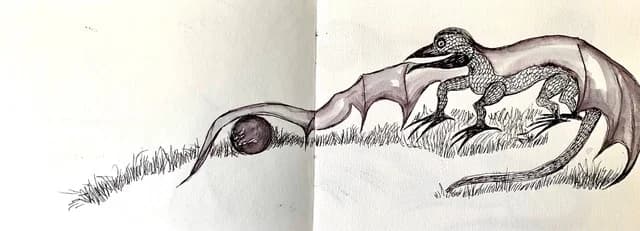 Livre L'année du dragon de bois 5