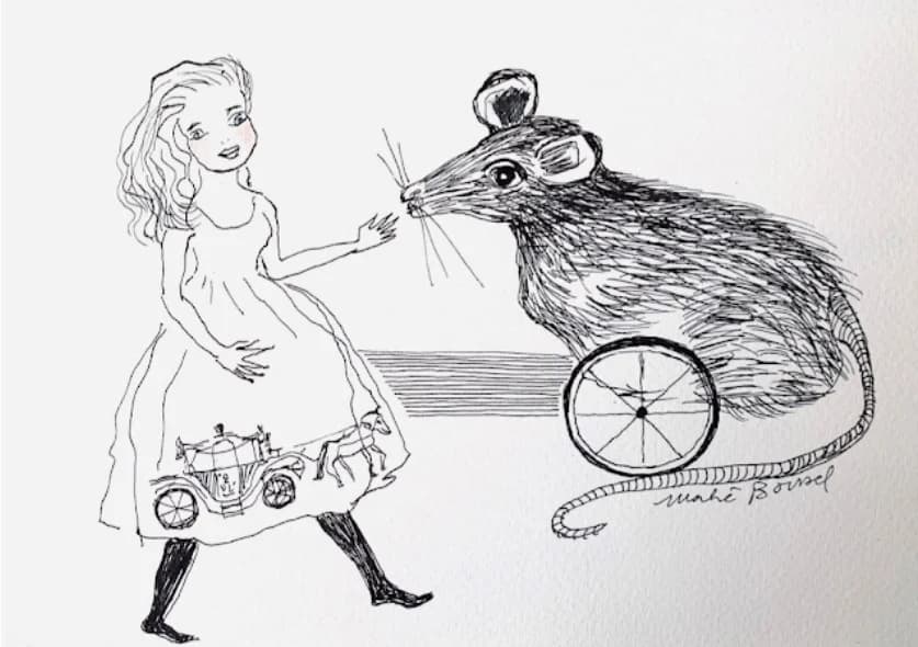 Revue LICHEN n°82 Conte court et cruel Imprévu