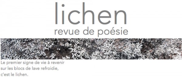 Revue Lichen (poésie)   Covide 19 Prendre la mesure